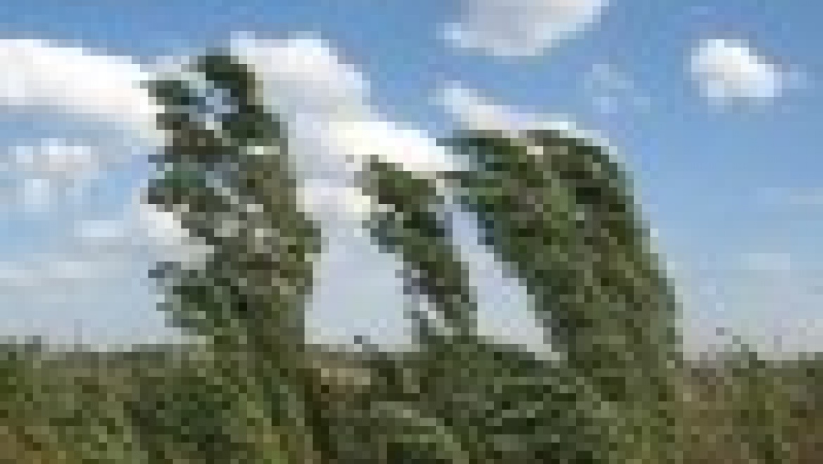 Внимание! Усиление ветра! 