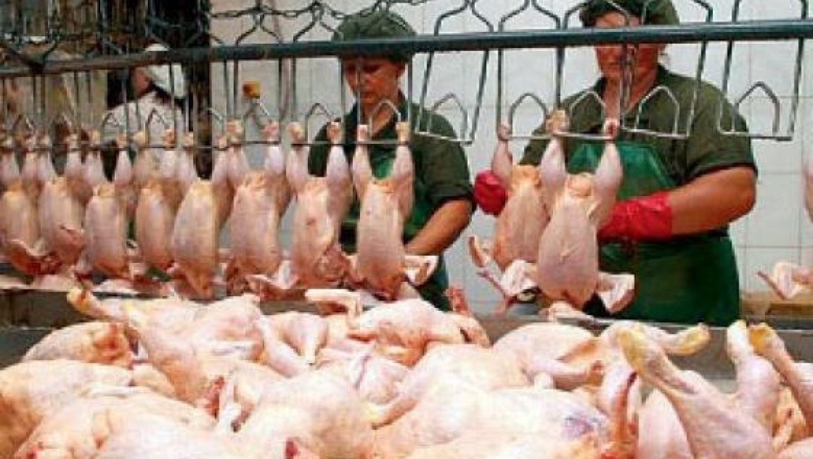Мясо птицы в Оренбурге подорожало, но осталось  самым дешевым среди регионов ПФО