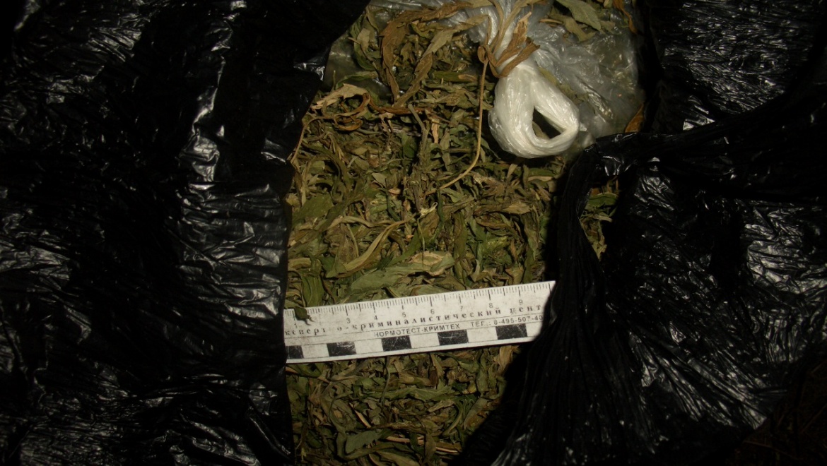 Первый «маковый» урожай!