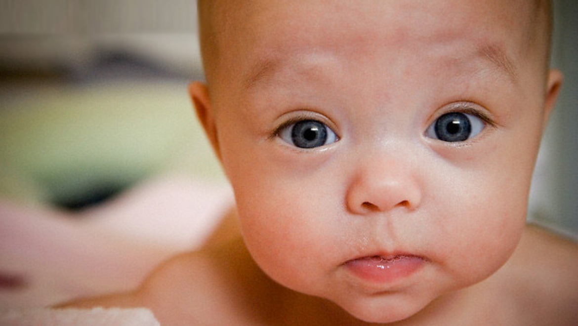 Ольга Хромушина: «Семья как социальный институт – зёрнышко, из которого вырастает будущее общество»