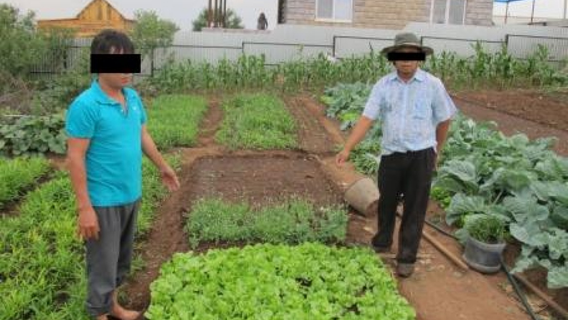 Более 600 кустов мака изъяли сотрудники оренбургского наркоконтроля