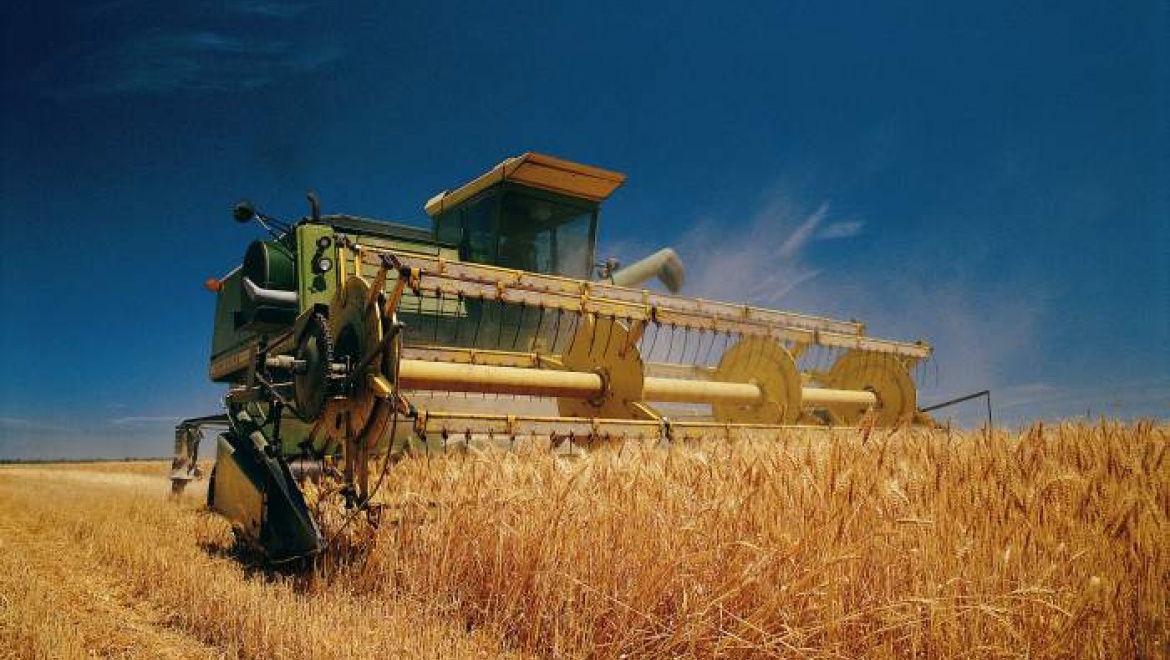 В области началась уборка зерновых