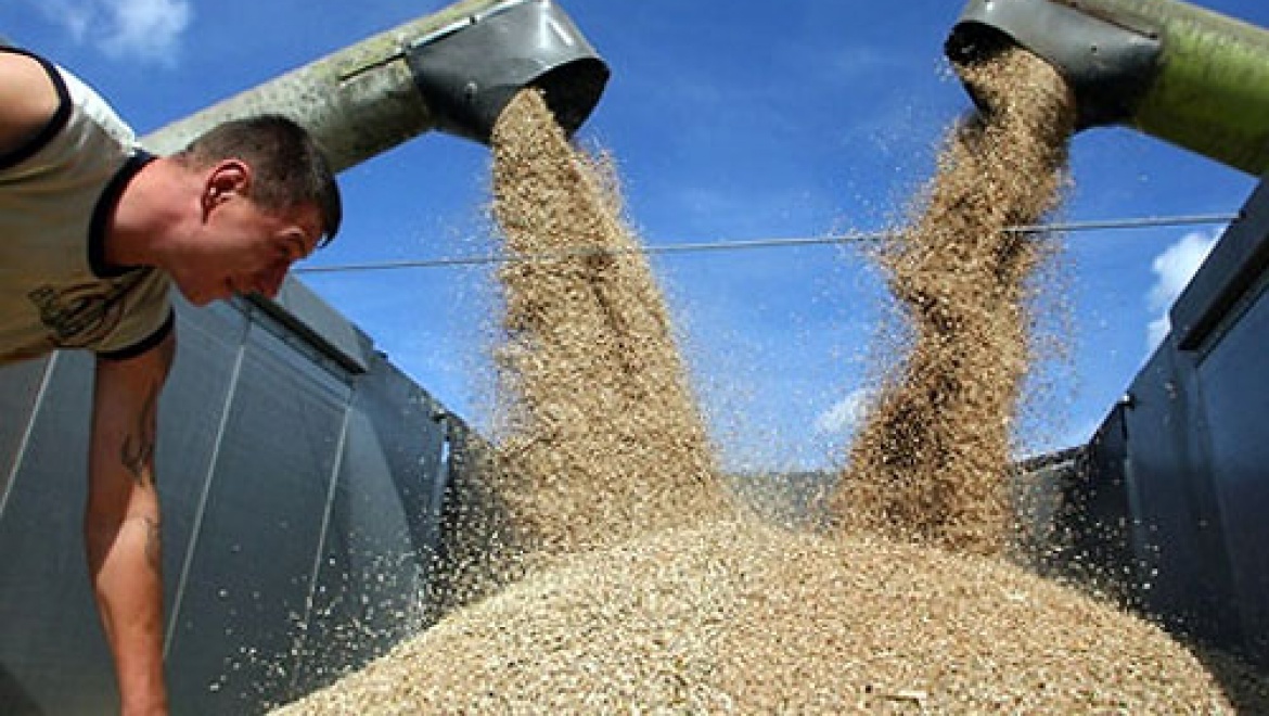 В Оренбуржье получен первый миллион тонн зерна    