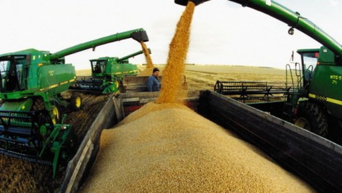 В Оренбуржье намолотили 1,5 млн. тонн зерна