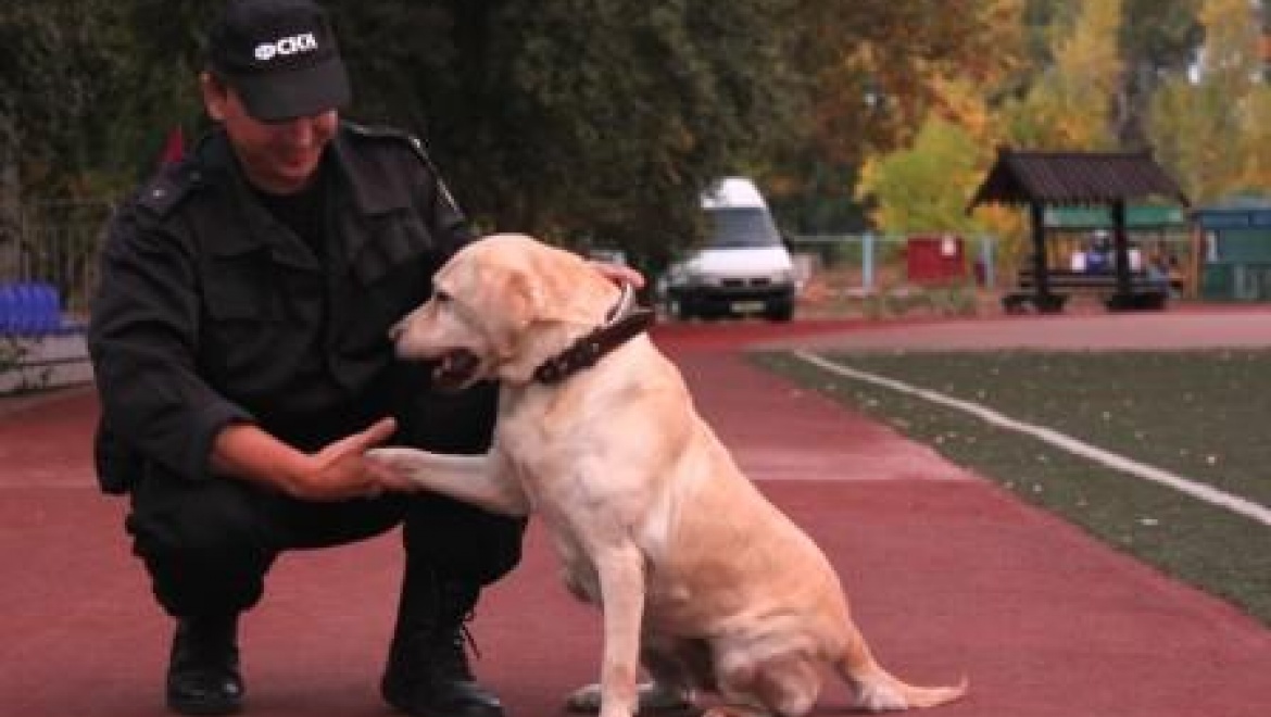 Профориентация для участников  соревнований «Зарница Поволжья — 2014»