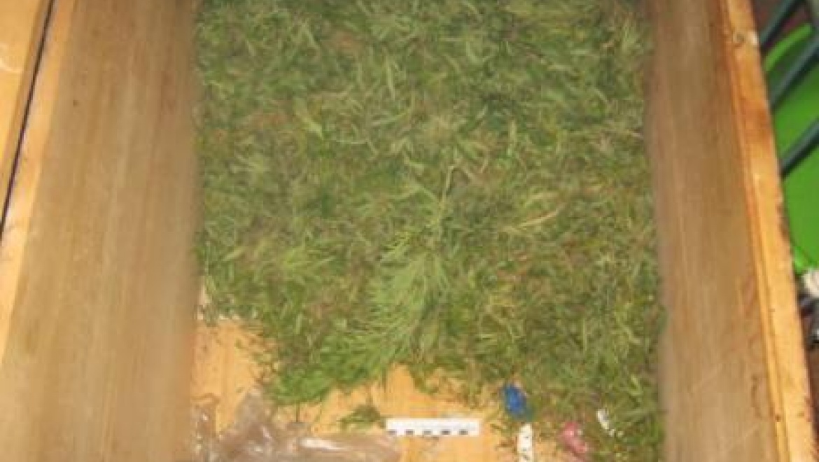 В рамках операции «Мак» наркополицейские изъяли более 5 кг наркотиков 