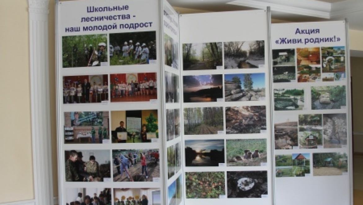 Губернатор Юрий Берг поздравил лесников области с 75-летием со дня образования лесного хозяйства Оренбуржья