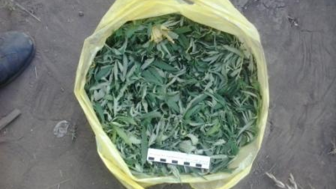 Наркополицейские подвели итоги операции «Мак - 2014»