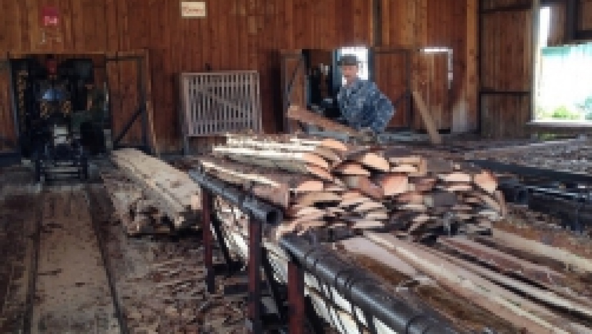 В Караидельском районе обсудили развитие лесной промышленности северо-востока Башкортостана