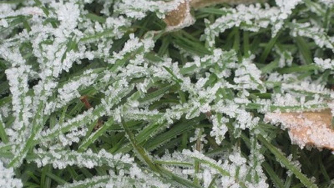 19 ноября в Казани ожидается 5-7 градусов мороза