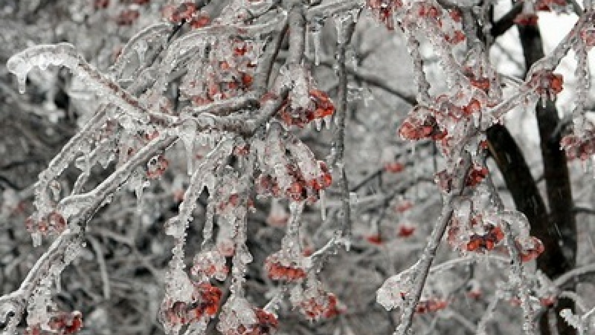 Завтра в Казани немного потеплеет