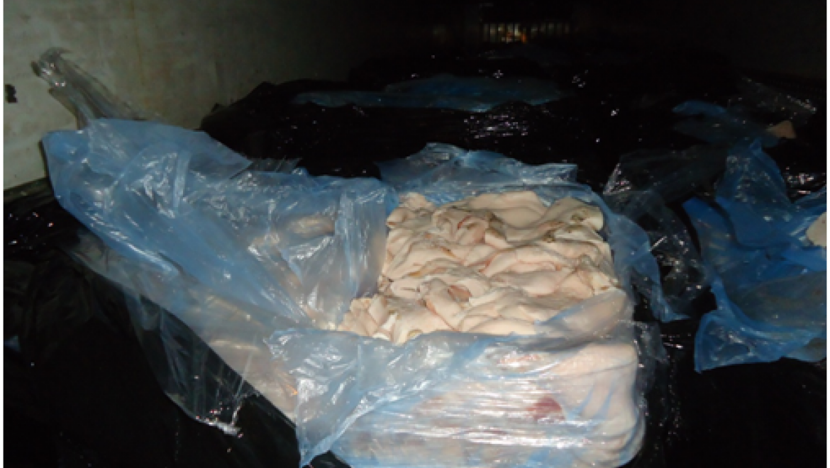 Польский шпик незаконно ввезен на территорию области