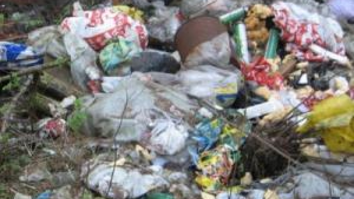 В Казани ликвидировано 82 несанкционированных свалки