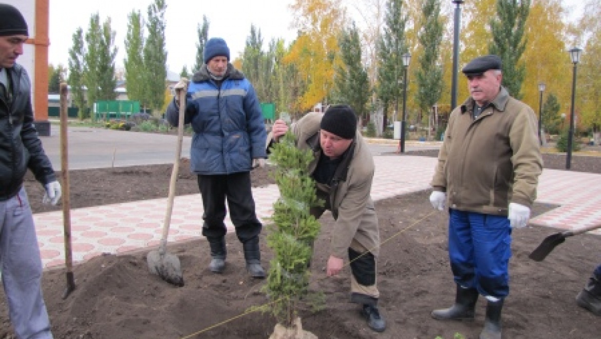 Проект «Миллион деревьев»: уже высажено более 6 миллионов различных пород деревьев и кустарников