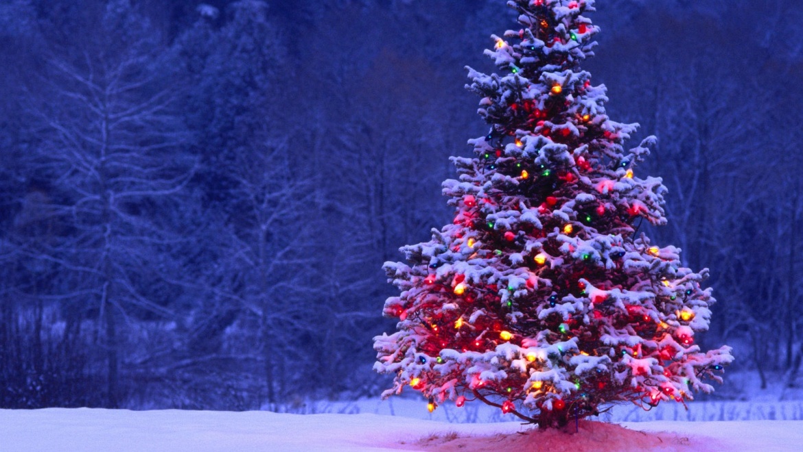 В Татарстане определят лучшую новогоднюю елку