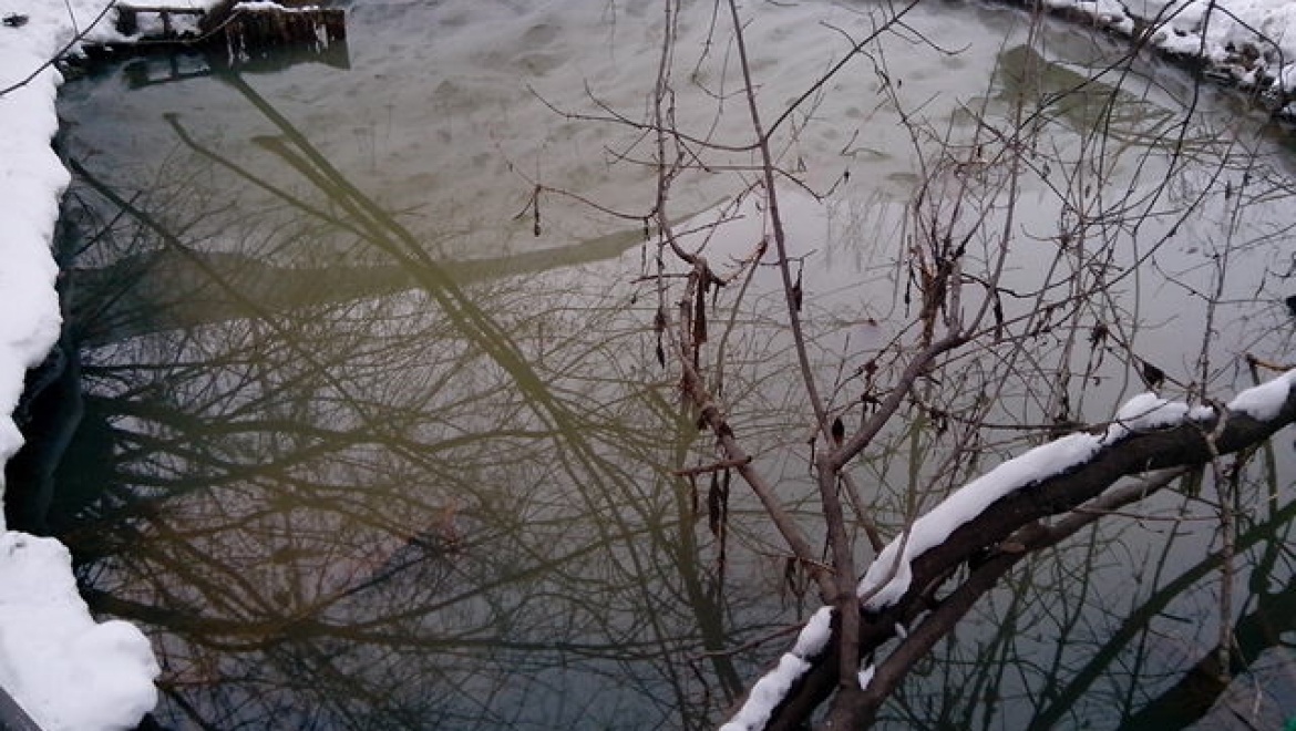 В Казани стартовал опрос, посвященный присвоению наименования «Пруд Адмиралтейский»