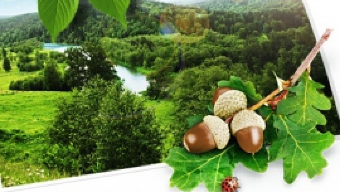 Башкортостан и Ростовская область подписали соглашение о сотрудничестве в природоохранной сфере