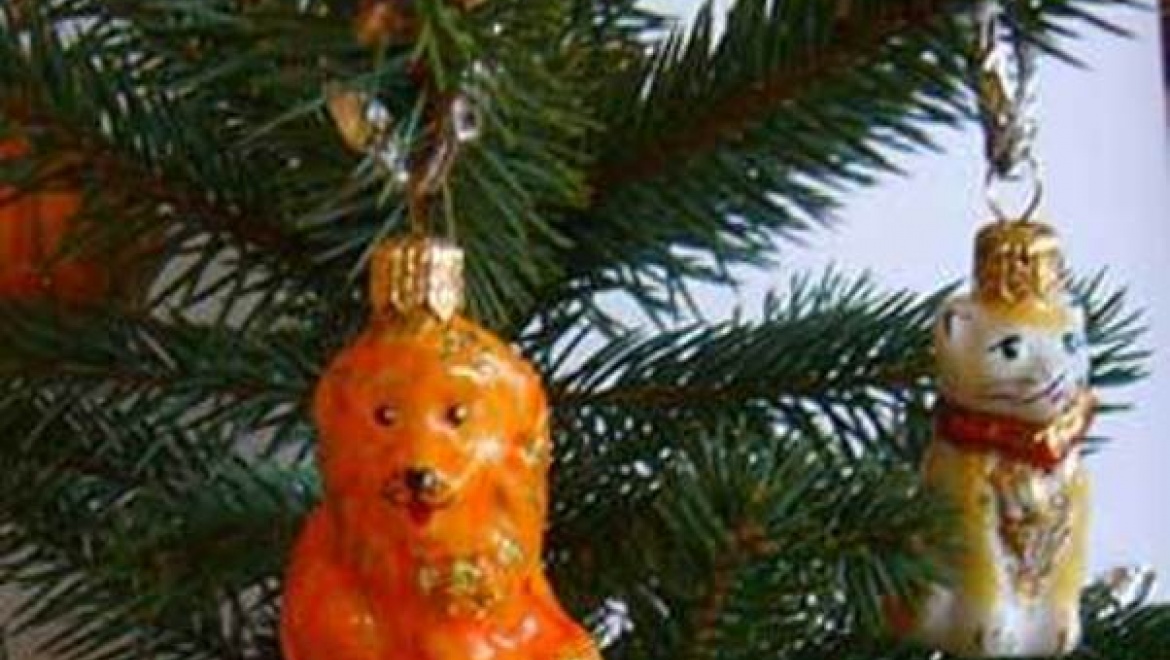 «Полицейский Дед Мороз» поздравил с Новым годом 680 казанских семей