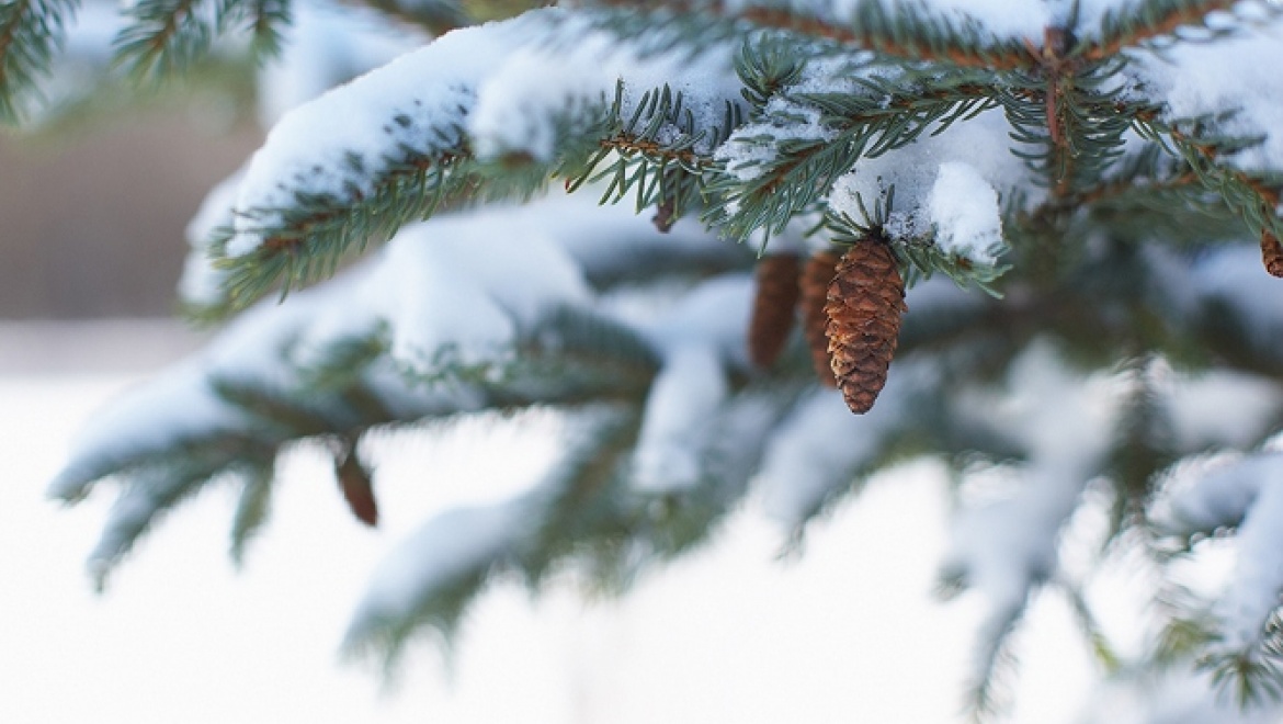 Температура воздуха в Казани опустится ниже 30 градусов мороза