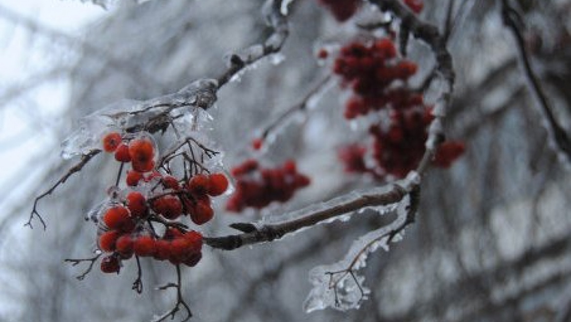 В Казани сохраняется дождливая погода
