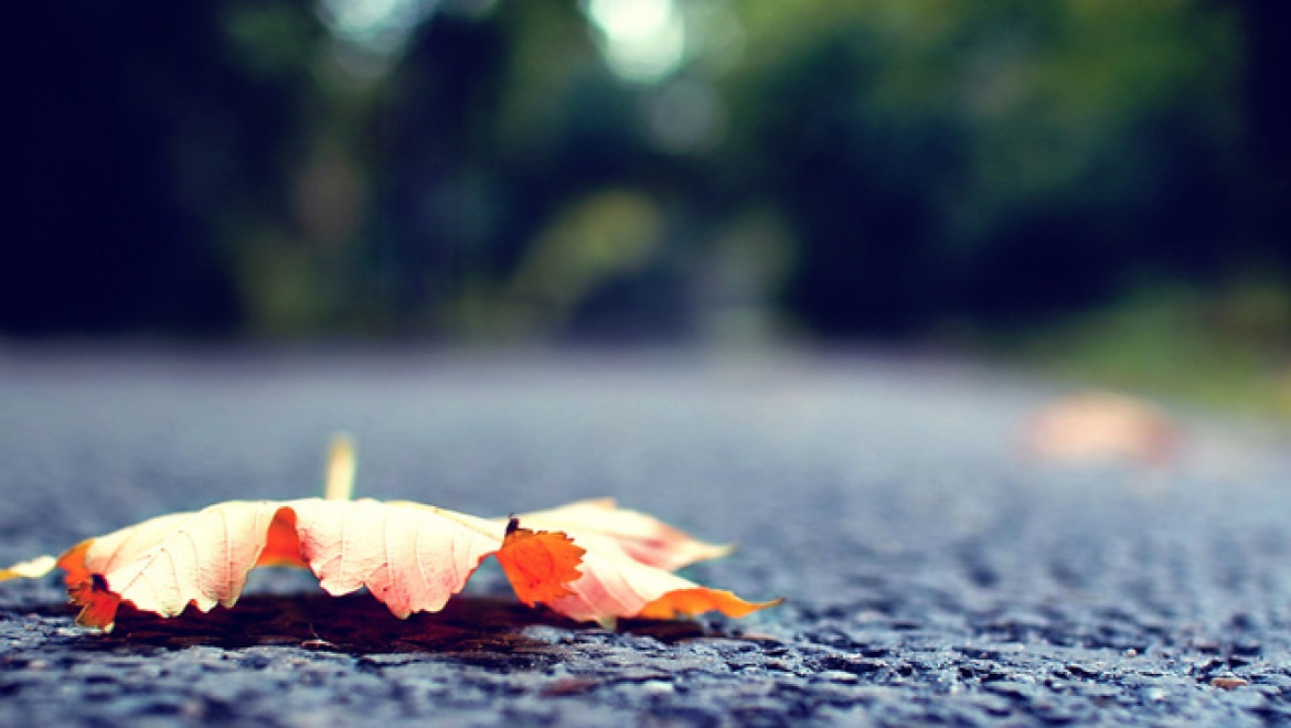 Ученые Казанского университета нашли решение проблемы качества дорожного полотна