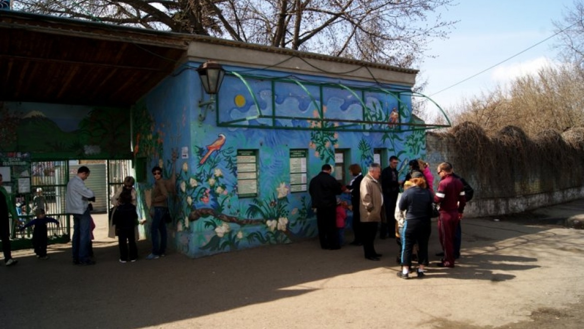 Казанский зооботсад приглашает на празднование Дня студента