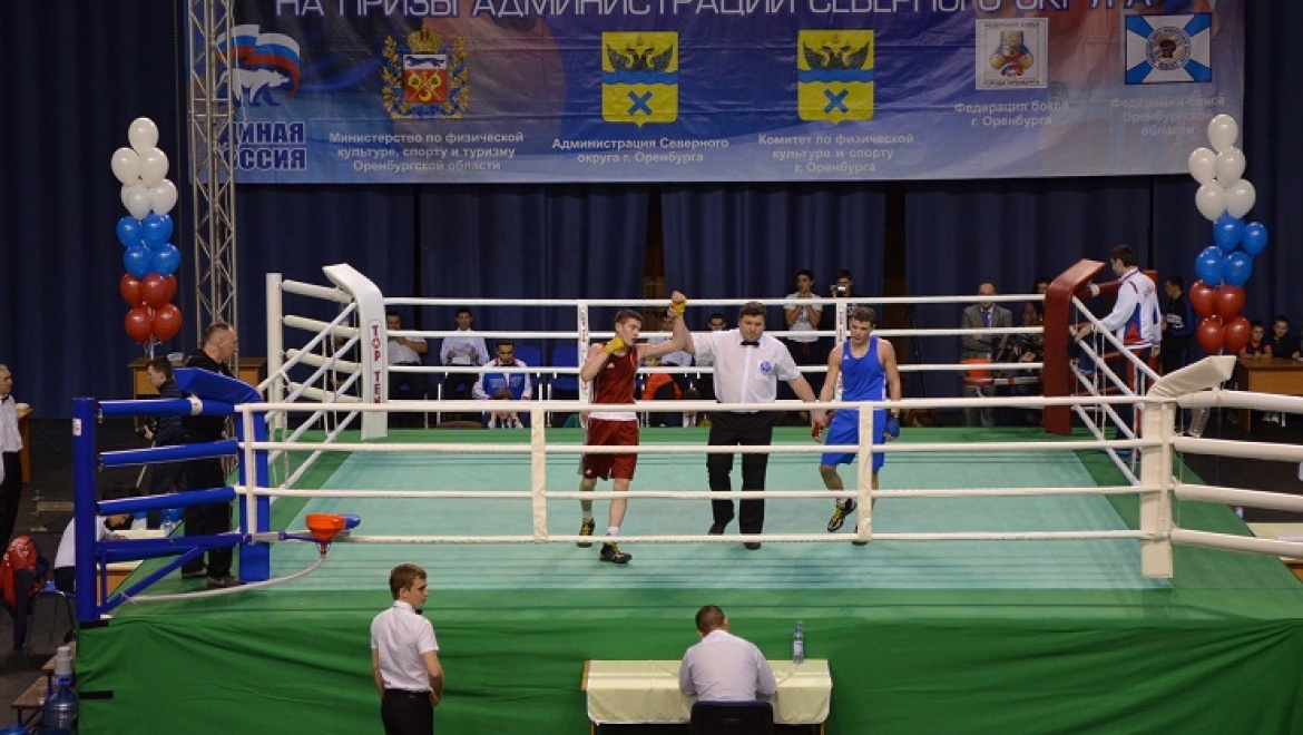 24 января начнутся финальные поединки по боксу