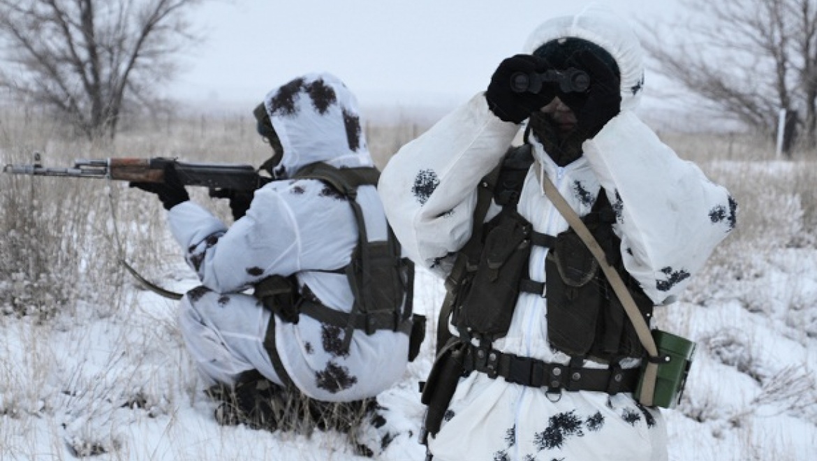 Пограничники задержали более 15 нарушителей границы
