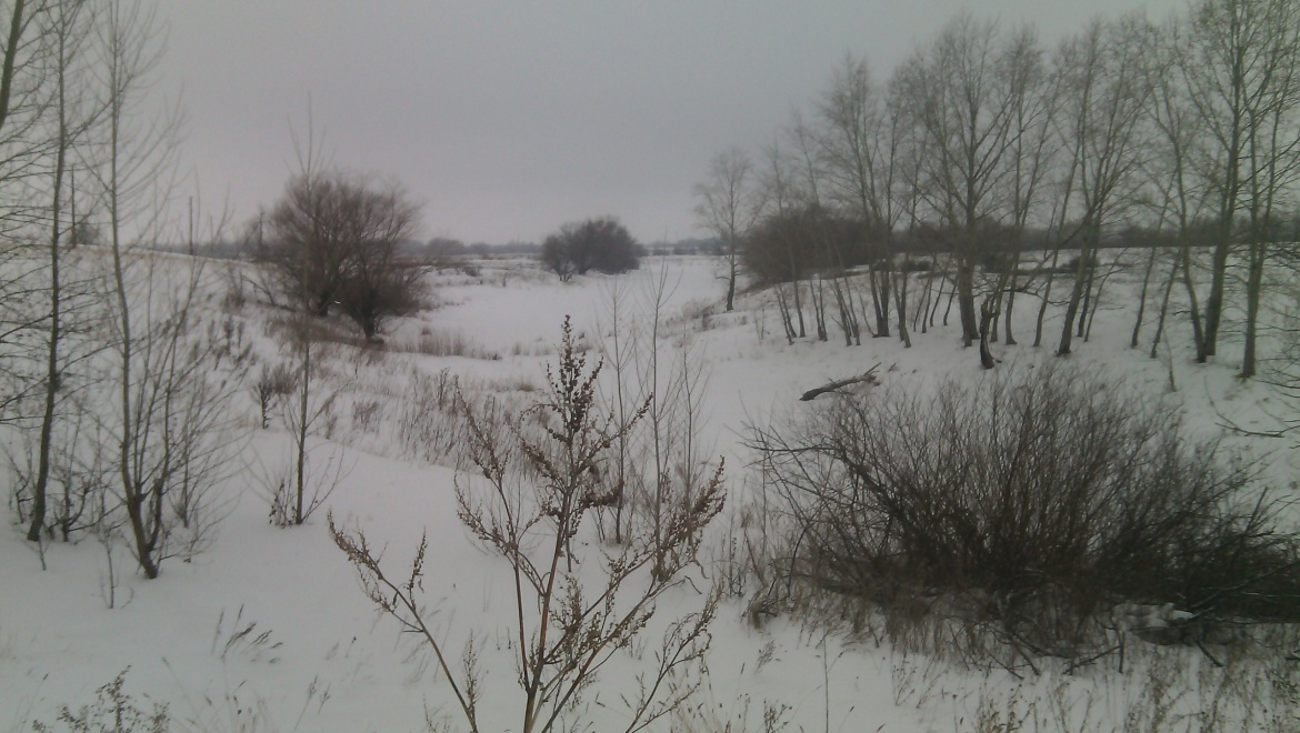 Замороженное тело оператора котельной найдено в поле Бузулукского района