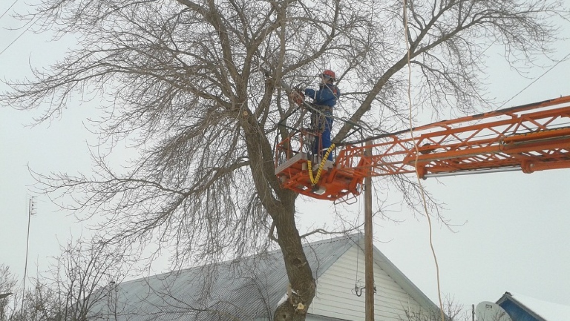 Энергетики проводят опиловку крон деревьев 