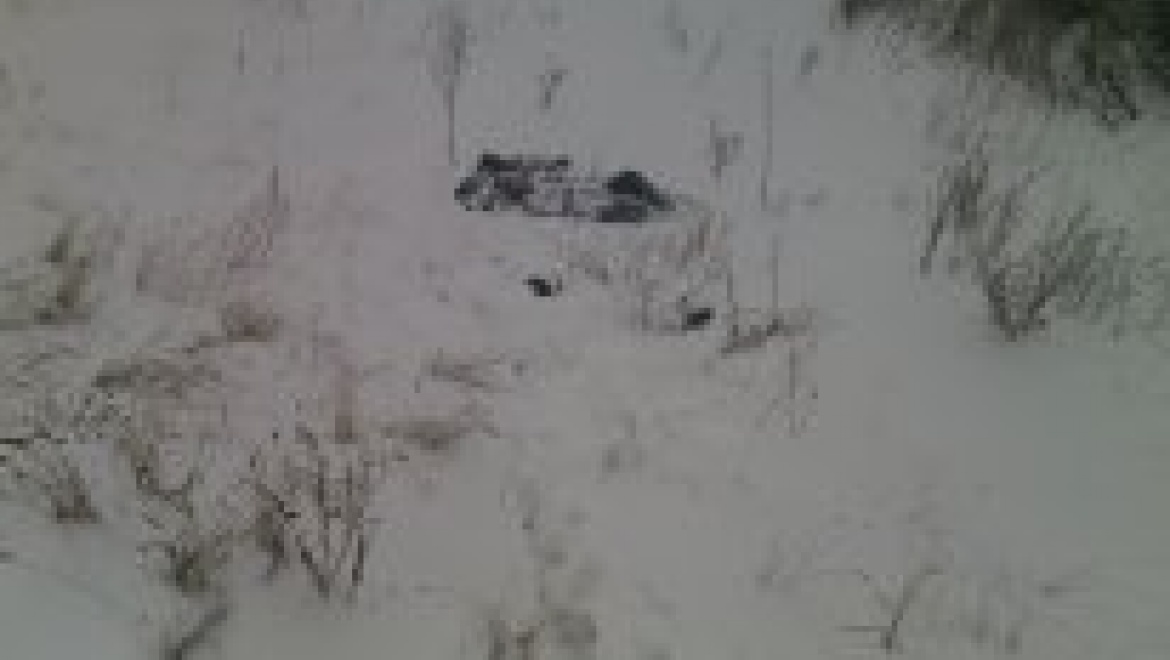 Замерз по дороге на работу