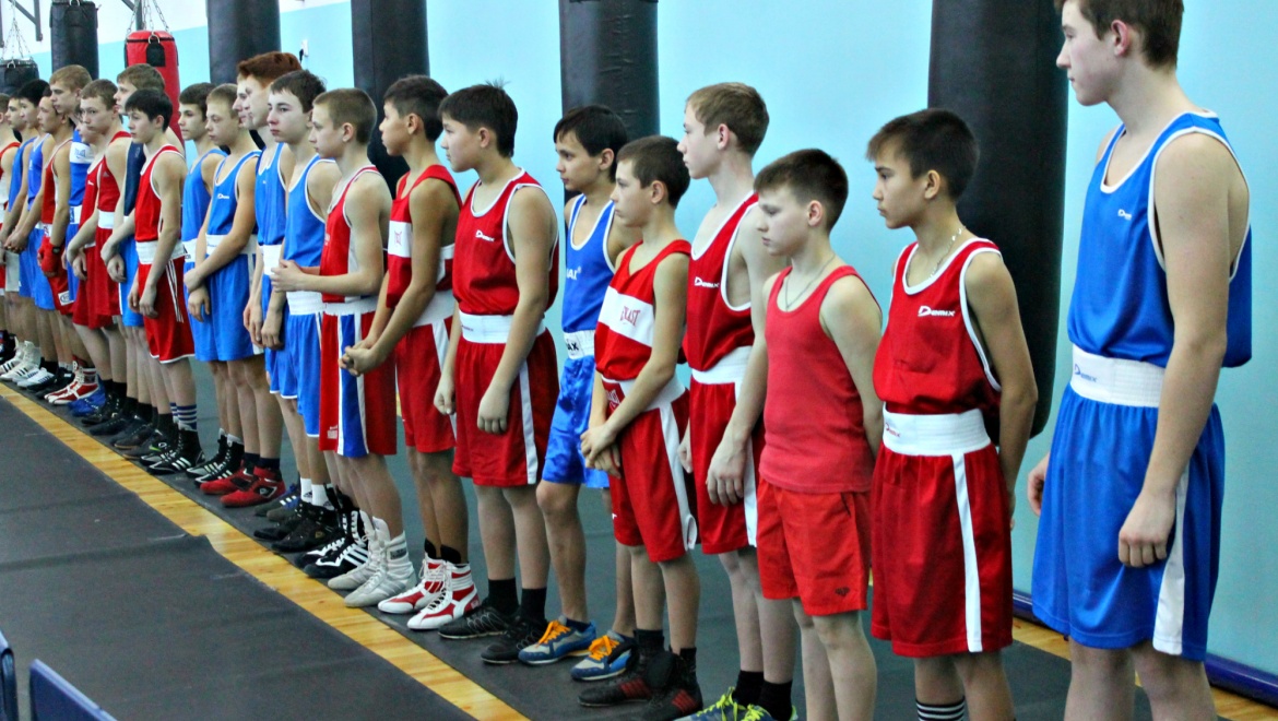 В Оренбурге стартовали областные соревнования по боксу