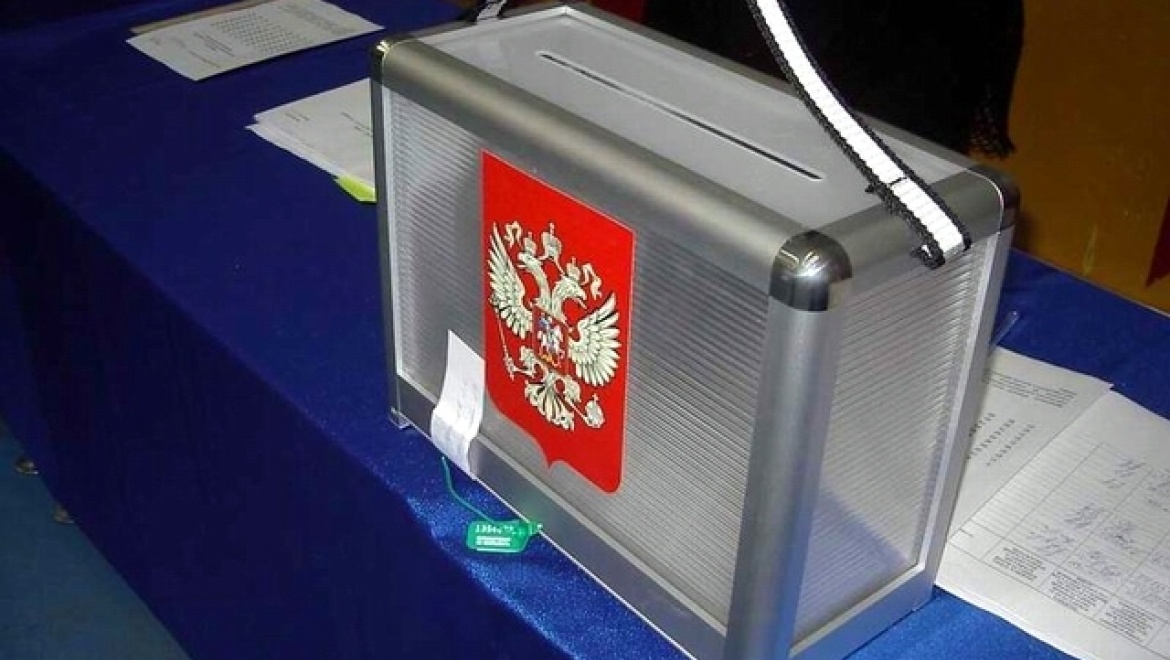 В Казани проведут День молодого избирателя