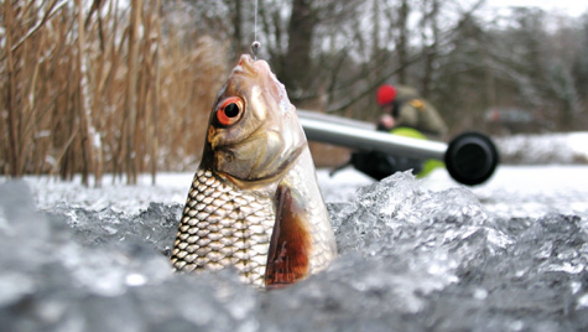 Казанцев приглашают посоревноваться в ловле рыбы