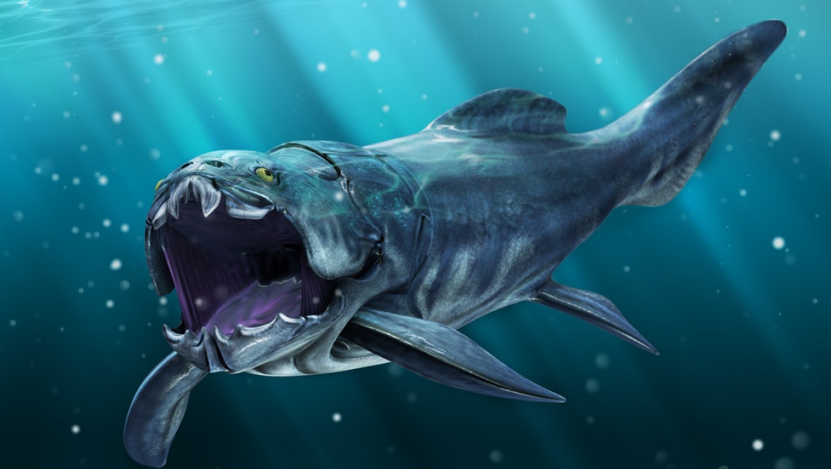 Доисторические монстры оживут в казанском аквариуме с 3D-монитором