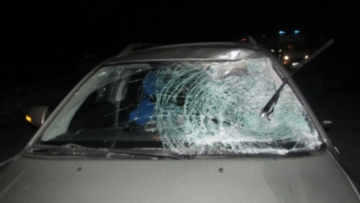 Водитель "Тойоты" сбил пешехода на 373 км трассы Оренбург-Самара