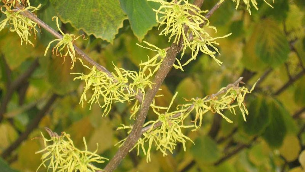 Казанские вузы будут частично освобождены от уплаты земельного налога