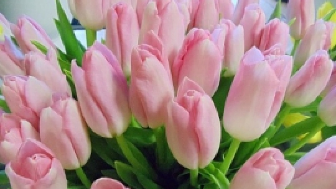 Поздравление Рустэма Хамитова с Международным женским днем