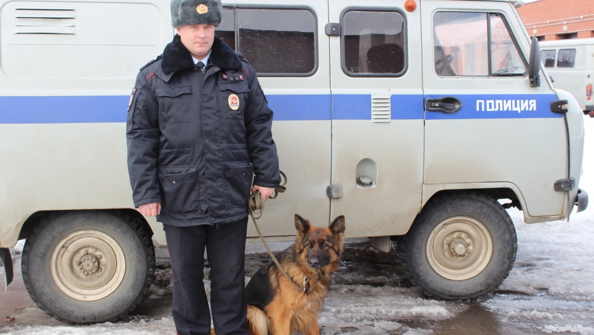 Служебная собака "вынюхала" воров