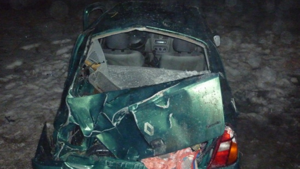 «Рено» с тремя пассажирами слетел в кювет