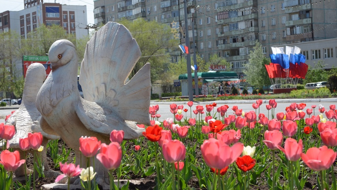 Свыше полумиллиона цветов будет использовано для праздничного оформления Северного округа!