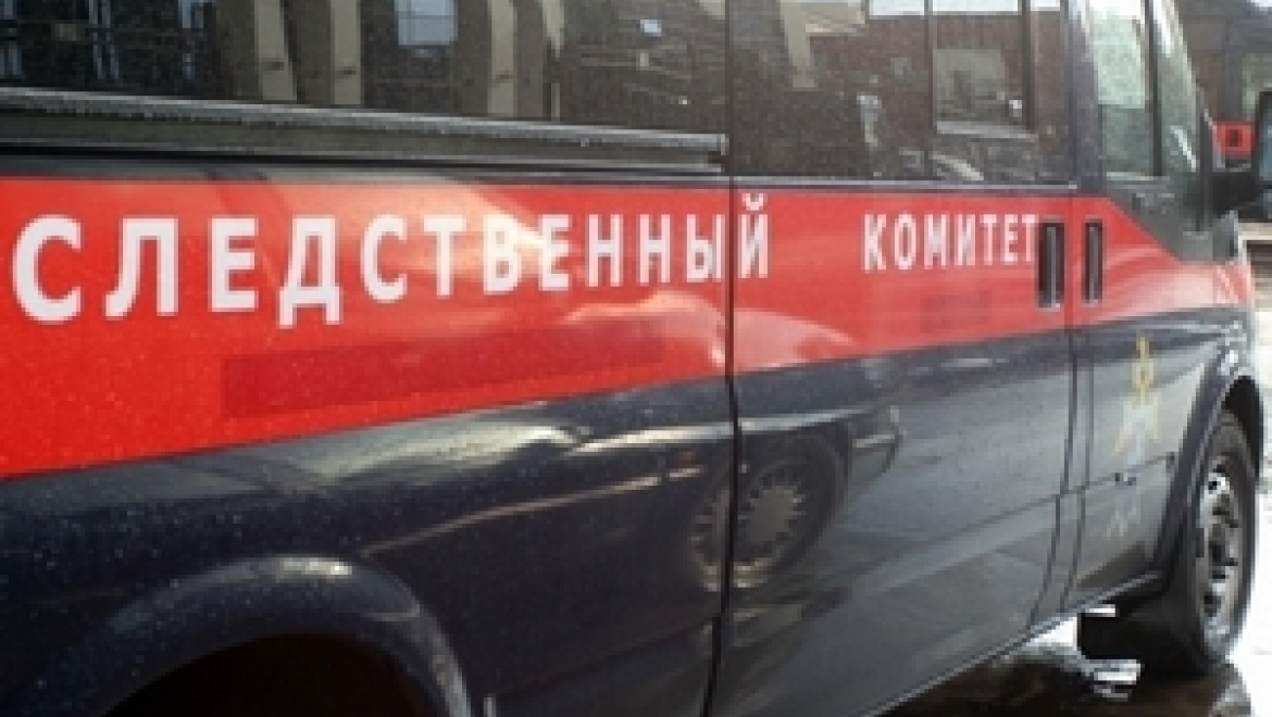 Пенсионерка насмерть забила своего сына