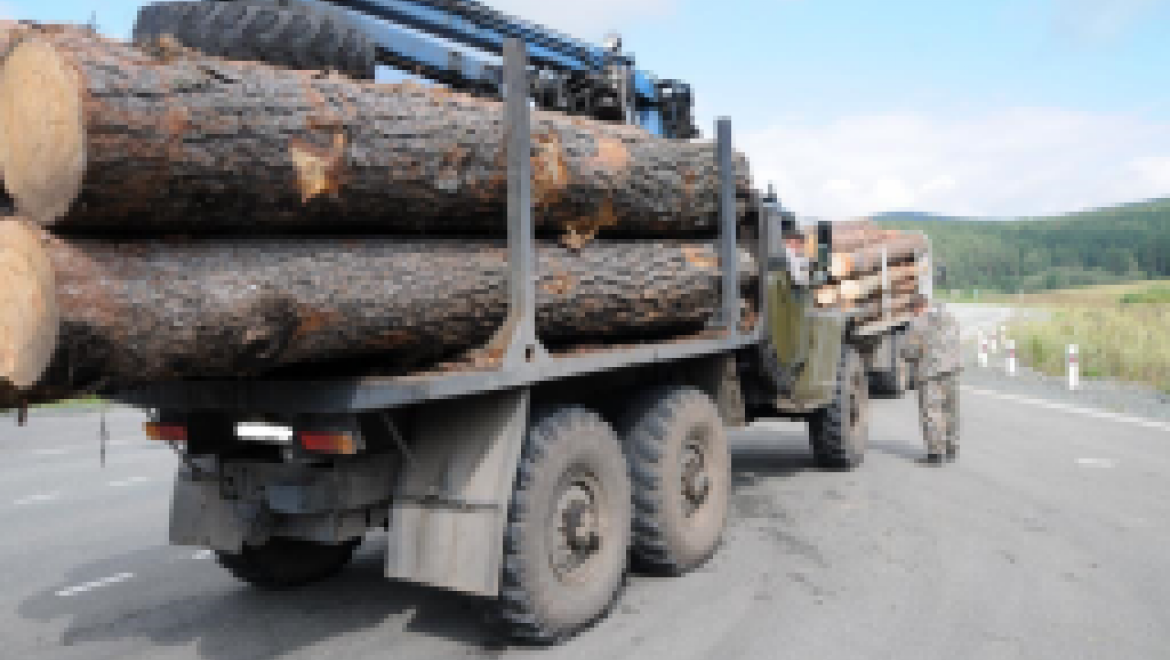 В Башкортостане подвели итоги весенней операции «Лесовоз»-2015