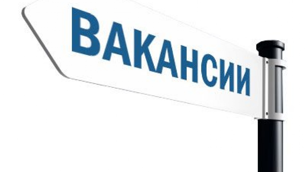 В Центре занятости Советского района Казани пройдет мини-ярмарка вакансий