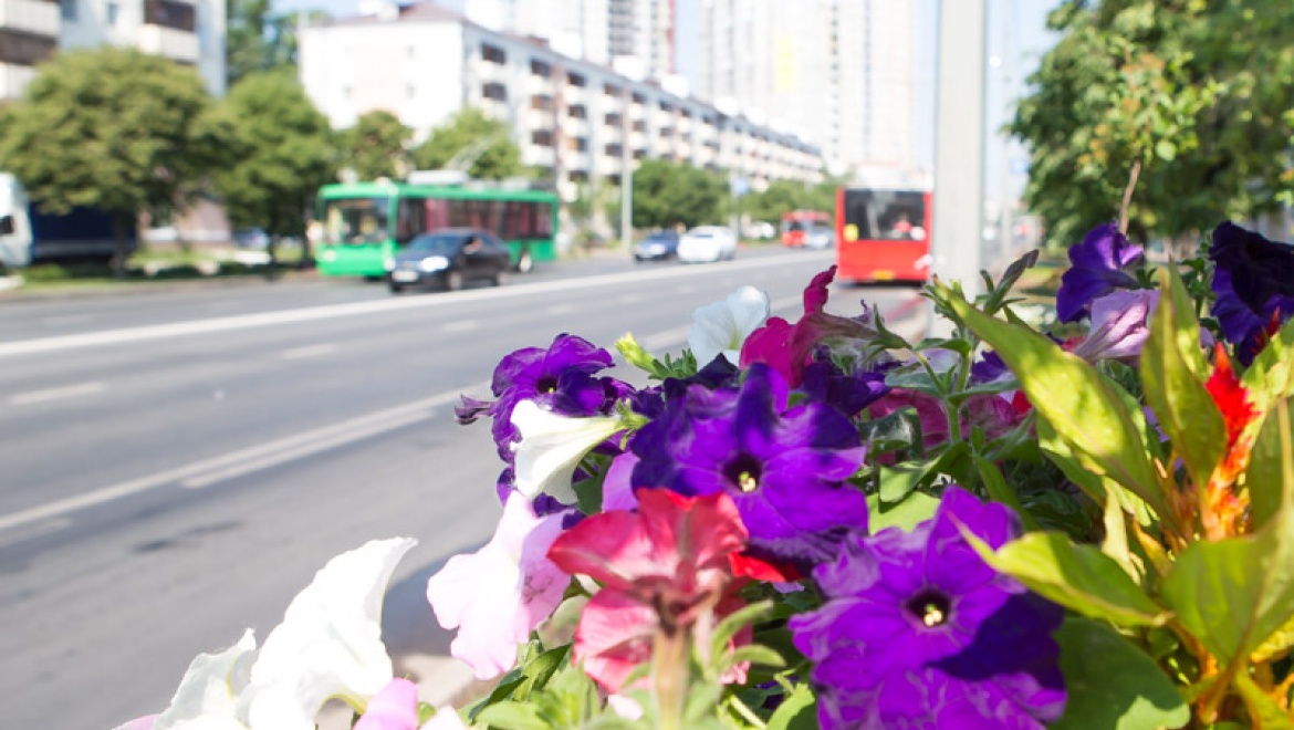 И.Метшин: «Цветы в большом количестве – это наш лоск, это наше тепло, это наша красота»