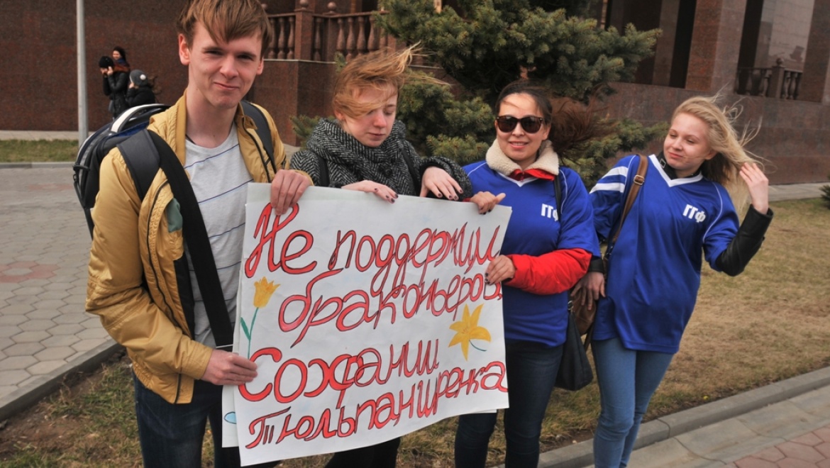 Оренбургские студенты провели акцию за спасение тюльпанов Шренка