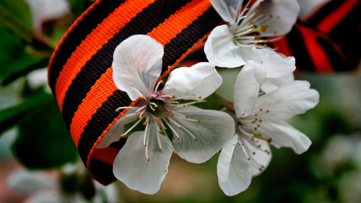 В казанском сквере «Белые цветы» зацветет яблоневая аллея
