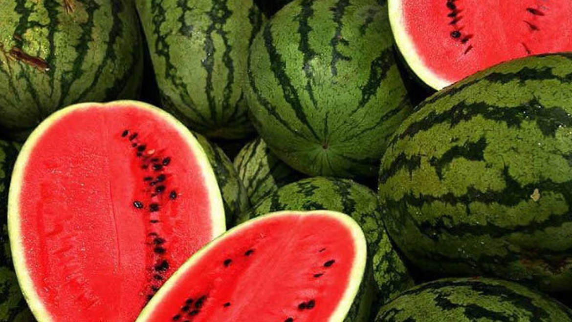 В этом году муниципалитет Казани предложит предпринимателям 335 мест под сезонную торговлю