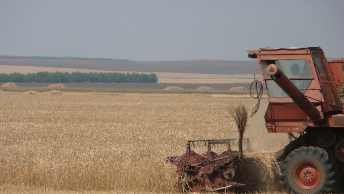 Победителям конкурса среди начинающих фермеров и семейных животноводческих ферм 2015 года вручены сертификаты 