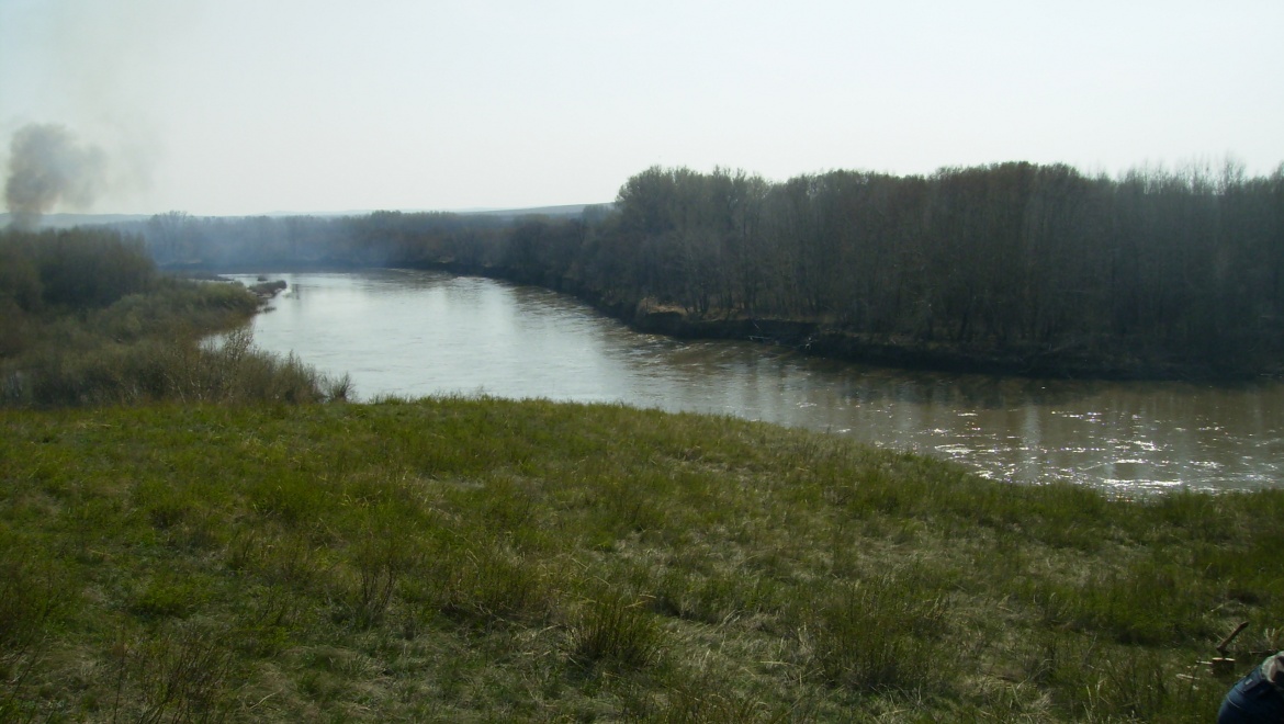 Химическое загрязнение реки Донгуз